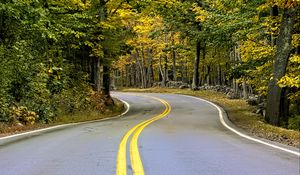 Preview wallpaper road, turn, trees, autumn, stripes