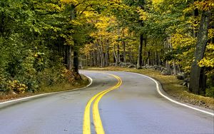 Preview wallpaper road, turn, trees, autumn, stripes