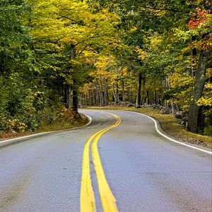 Preview wallpaper road, turn, trees, autumn, stripes