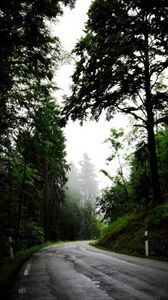 Preview wallpaper road, turn, trees, fog
