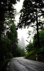 Preview wallpaper road, turn, trees, fog