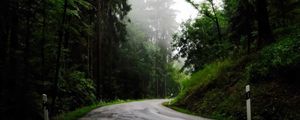 Preview wallpaper road, turn, trees, fog