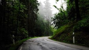 Preview wallpaper road, turn, trees, fog