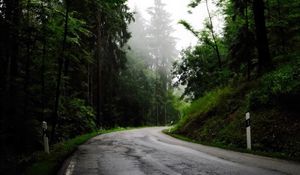 Preview wallpaper road, turn, trees, fog