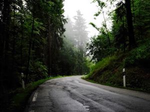 Preview wallpaper road, turn, trees, fog