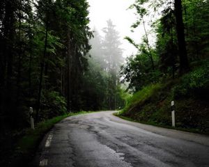 Preview wallpaper road, turn, trees, fog