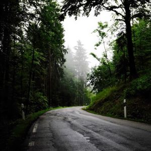 Preview wallpaper road, turn, trees, fog