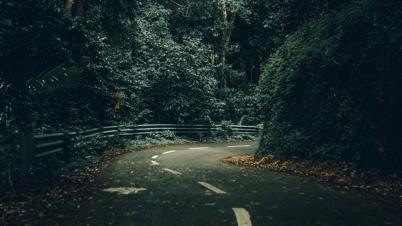 Wallpaper road, turn, trees, forest, nature