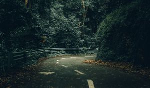 Preview wallpaper road, turn, trees, forest, nature