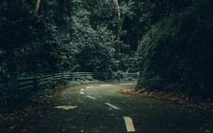 Preview wallpaper road, turn, trees, forest, nature