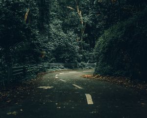 Preview wallpaper road, turn, trees, forest, nature