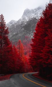 Preview wallpaper road, turn, trees, red, mountain, landscape