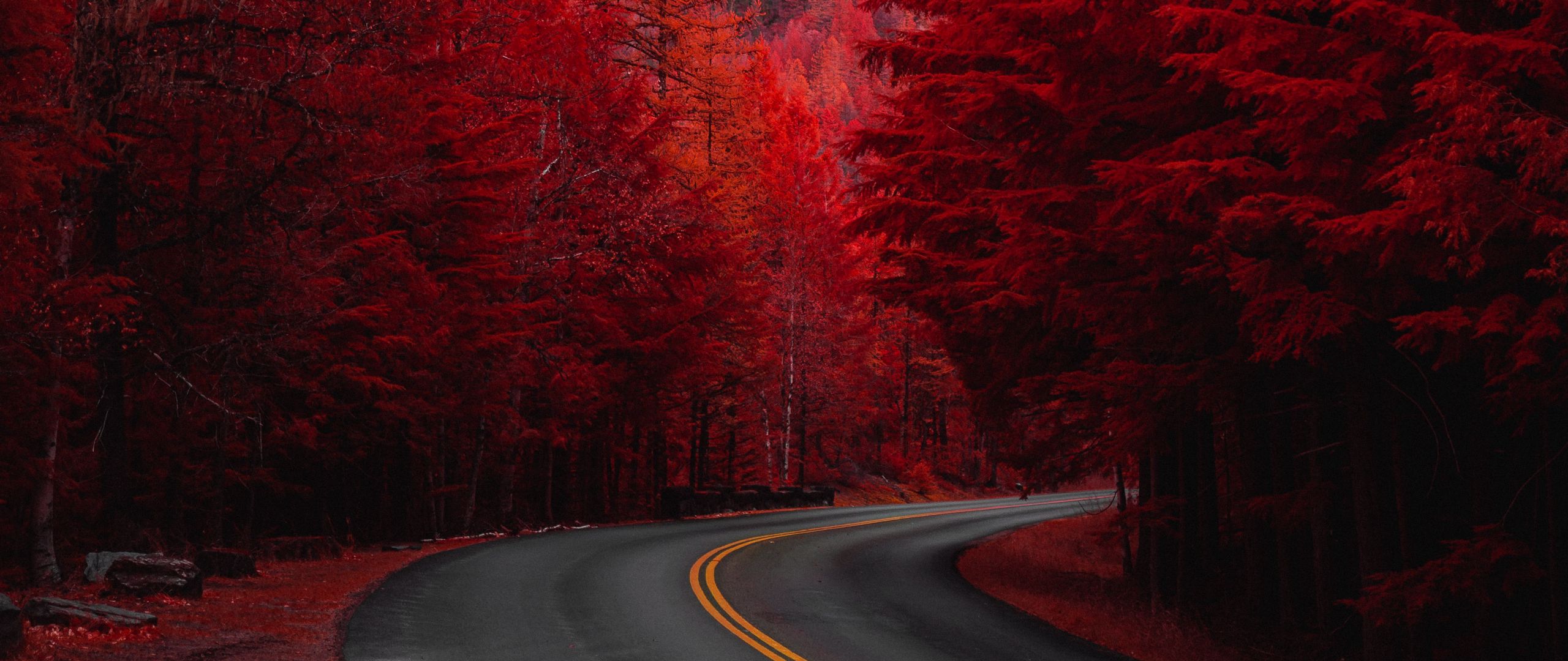 Download Wallpaper 2560x1080 Road Turn Trees Red Mountain Landscape Dual Wide 1080p Hd Background