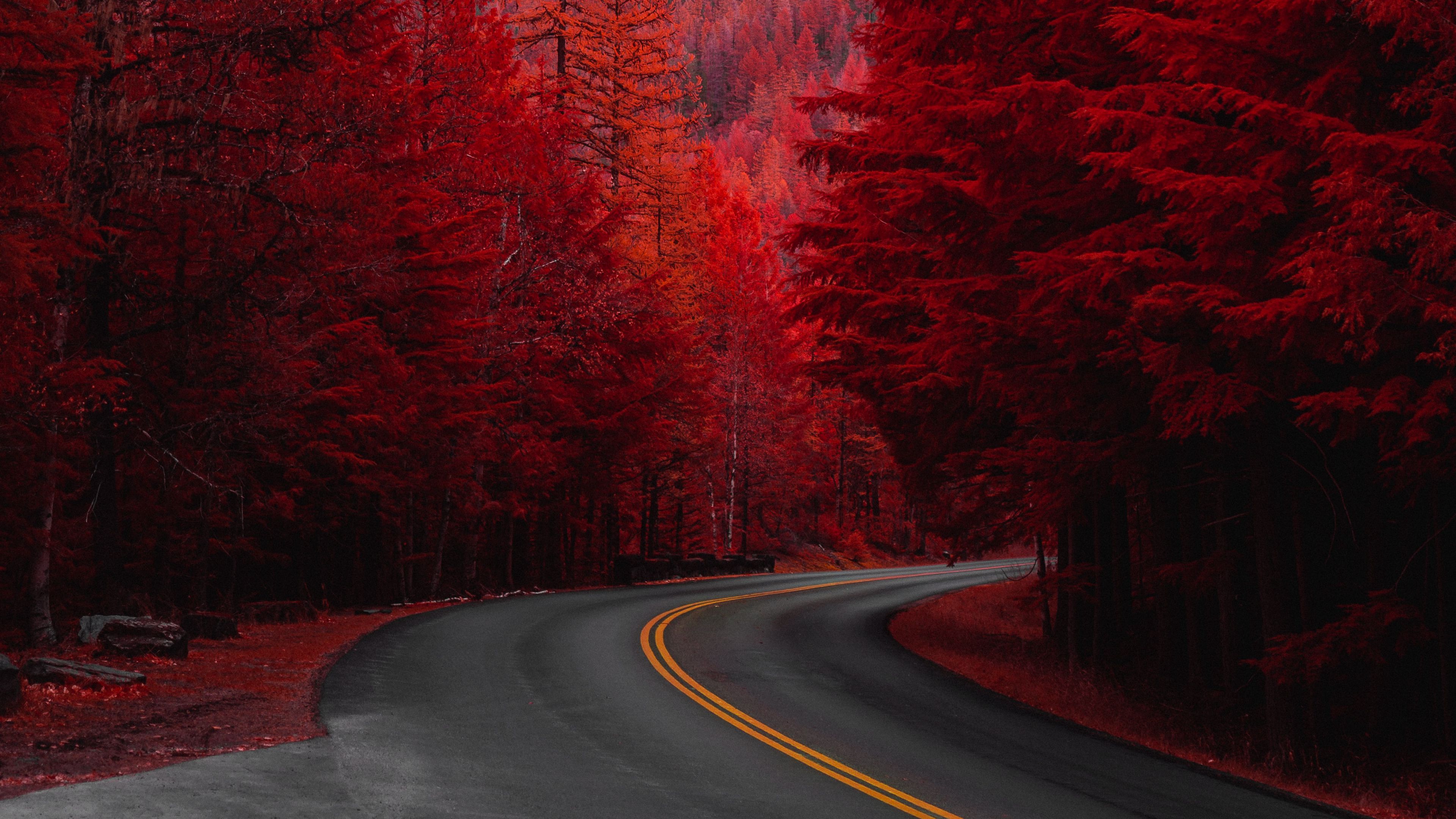 Download wallpaper 3840x2160 road, turn, trees, red, mountain, landscape 4k  uhd 16:9 hd background