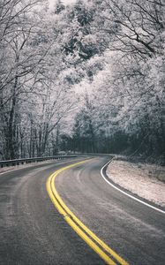 Preview wallpaper road, turn, trees, hoarfrost