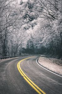 Preview wallpaper road, turn, trees, hoarfrost