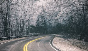 Preview wallpaper road, turn, trees, hoarfrost