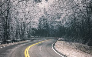 Preview wallpaper road, turn, trees, hoarfrost