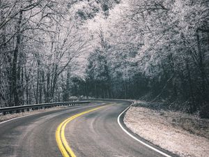 Preview wallpaper road, turn, trees, hoarfrost