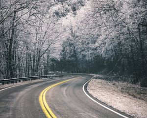 Preview wallpaper road, turn, trees, hoarfrost