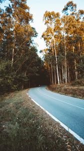 Preview wallpaper road, turn, trees, forest