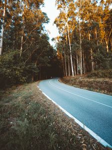 Preview wallpaper road, turn, trees, forest