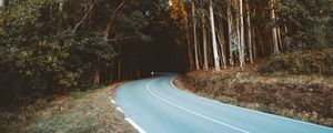 Preview wallpaper road, turn, trees, forest