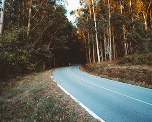 Preview wallpaper road, turn, trees, forest