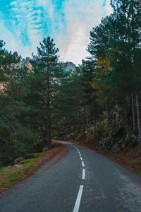 Preview wallpaper road, turn, trees, mountains, slope