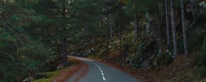 Preview wallpaper road, turn, trees, mountains, slope