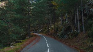 Preview wallpaper road, turn, trees, mountains, slope
