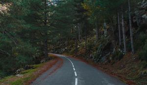 Preview wallpaper road, turn, trees, mountains, slope