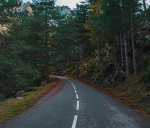 Preview wallpaper road, turn, trees, mountains, slope