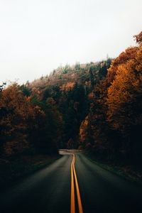 Preview wallpaper road, turn, trees, autumn, nature