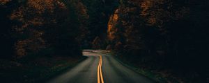 Preview wallpaper road, turn, trees, autumn, nature