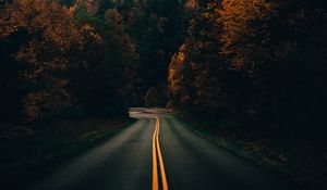 Preview wallpaper road, turn, trees, autumn, nature