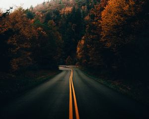 Preview wallpaper road, turn, trees, autumn, nature