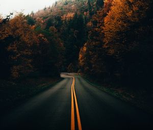 Preview wallpaper road, turn, trees, autumn, nature