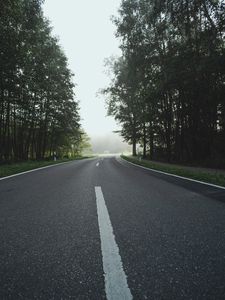 Preview wallpaper road, turn, trees, asphalt, nature