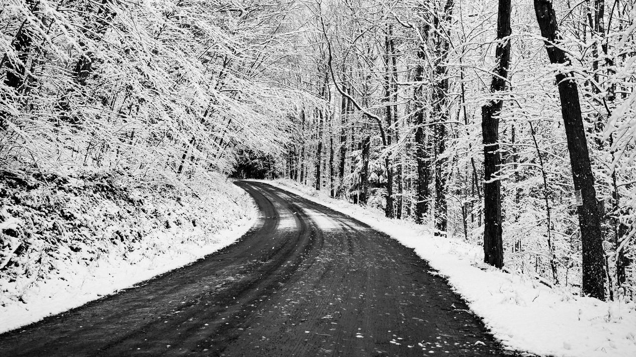 Wallpaper road, turn, trees, snow, winter hd, picture, image