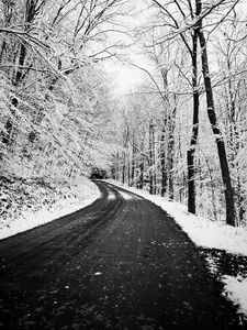 Preview wallpaper road, turn, trees, snow, winter