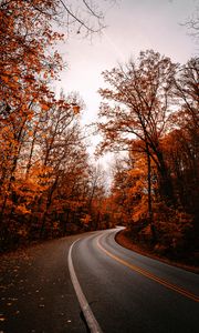 Preview wallpaper road, turn, trees, autumn, fallen leaves, nature