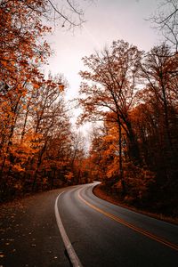 Preview wallpaper road, turn, trees, autumn, fallen leaves, nature