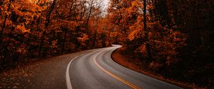 Preview wallpaper road, turn, trees, autumn, fallen leaves, nature