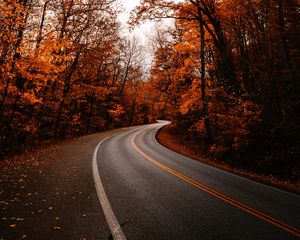 Preview wallpaper road, turn, trees, autumn, fallen leaves, nature