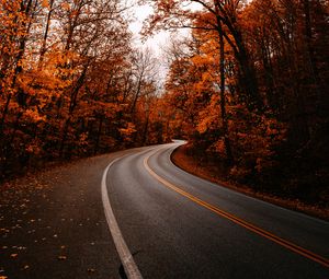 Preview wallpaper road, turn, trees, autumn, fallen leaves, nature