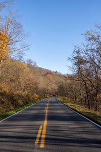 Preview wallpaper road, turn, trees, asphalt