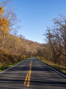 Preview wallpaper road, turn, trees, asphalt