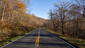 Preview wallpaper road, turn, trees, asphalt