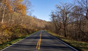 Preview wallpaper road, turn, trees, asphalt